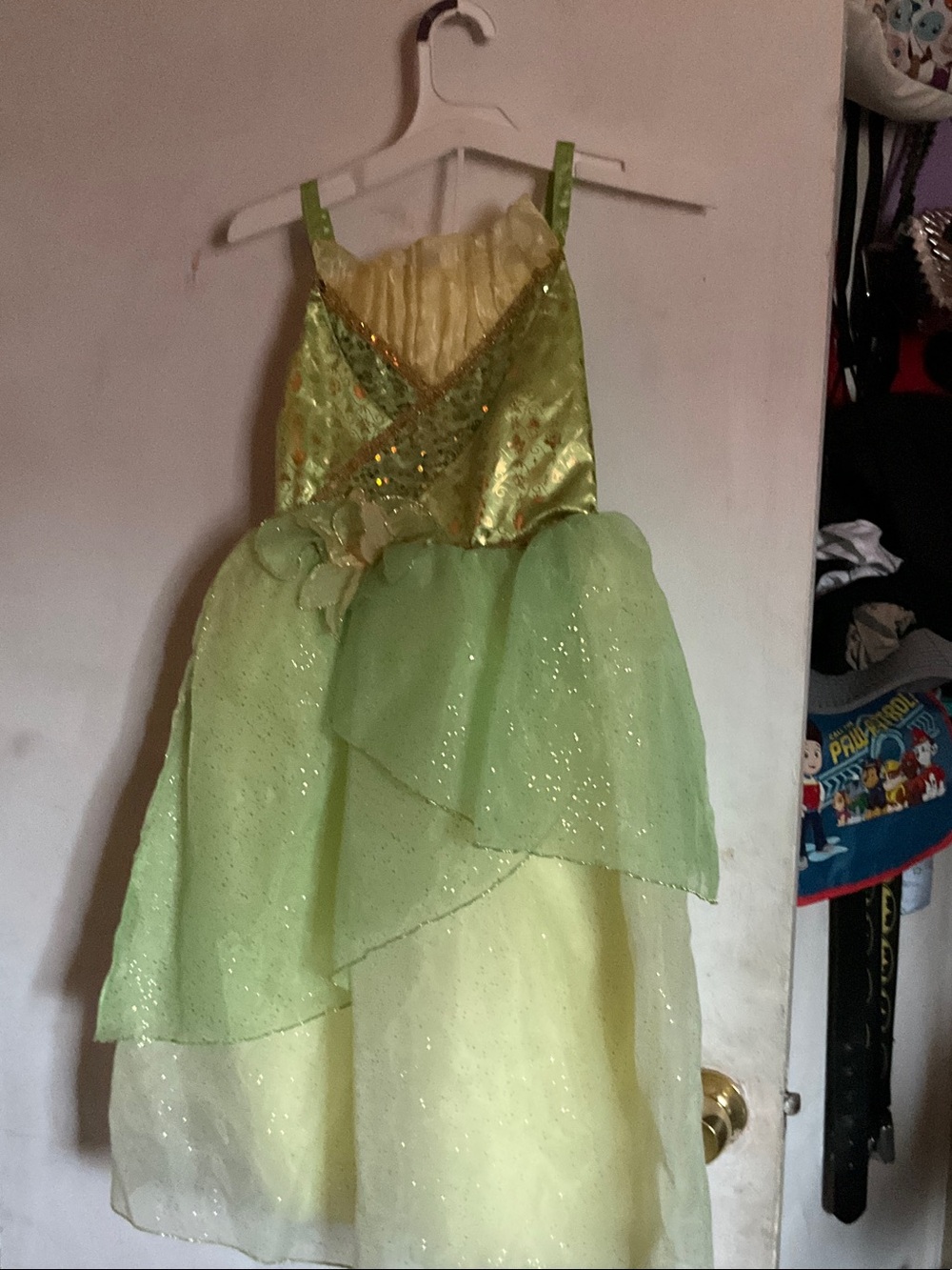 Disney Light Green Sparkle Princess Costume Dress